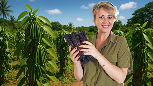 ������ ������ ���������� �������: ������������, ���� � ������ ��������