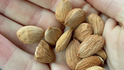 ��� ��������� �������� � ������������ �������: ������� �������� ������ ������ � �����