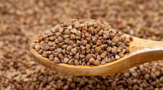 ������ �� ������� � ����� �������: ����� ����� �����������