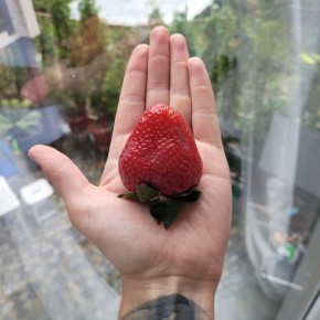 ������� �����������: ��� ����������� ��� ��������� �������� � ������ �� ��������