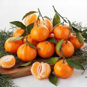 ������� ������ ������� ����������