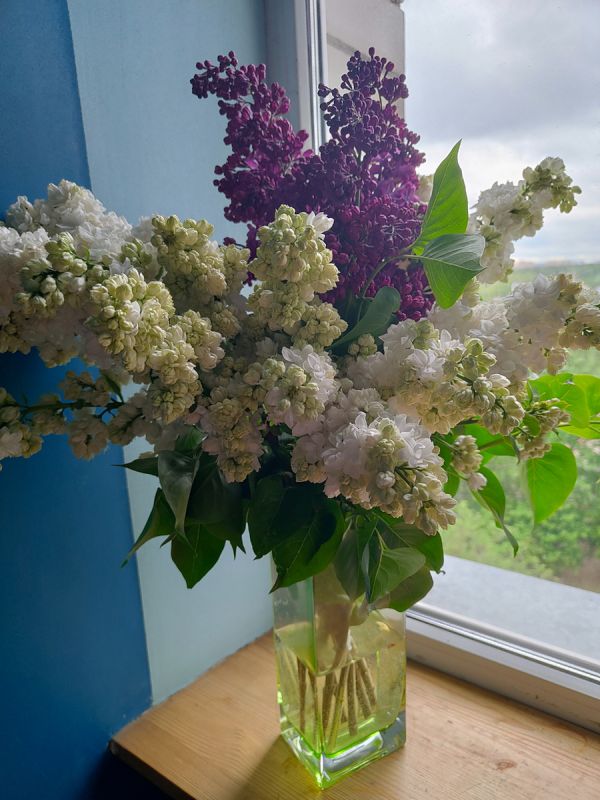 ��� �������� ���������� ��������: ������� ������� �� 24-25 ���