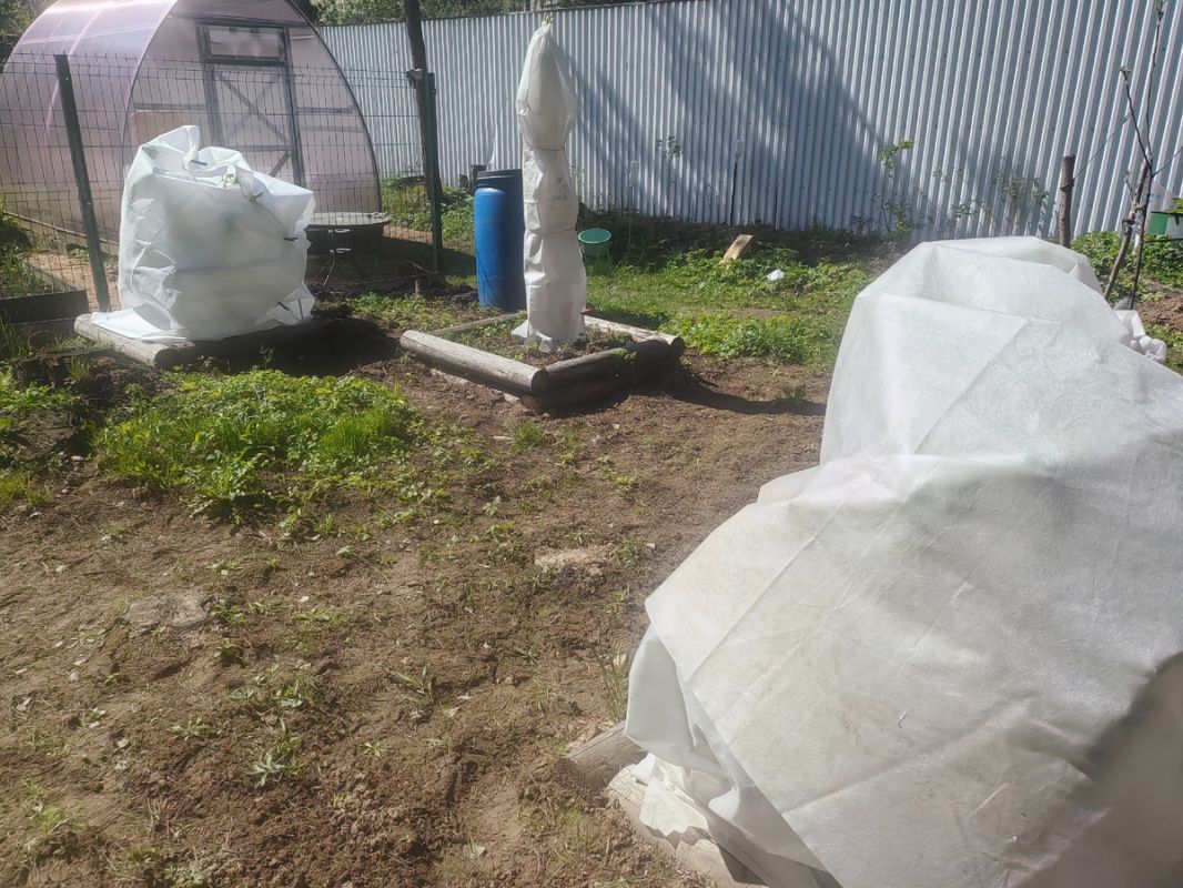 Как вернуть жизнь в замерзший сад: три действенных и доступных метода