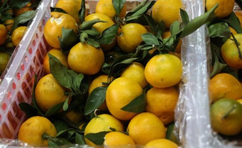 На Южный Урал не пропустили контейнер с китайскими мандаринами