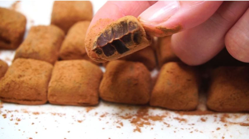 Легкий и вкусный десерт: домашние конфеты из сгущёнки и какао