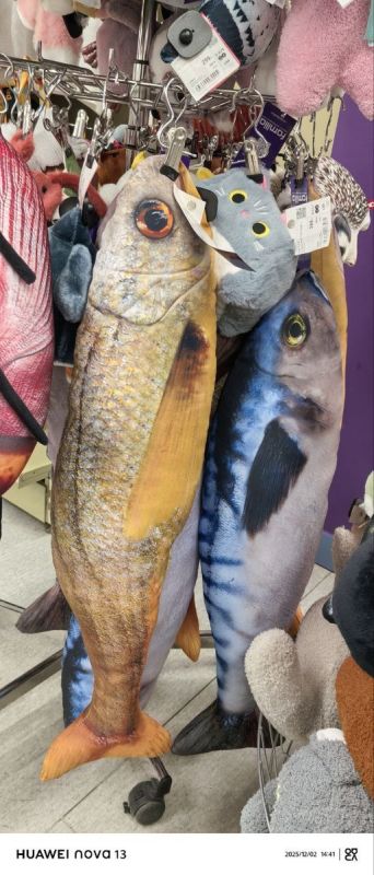 Рыба мечты — как выбрать идеального спутника в морской жизни