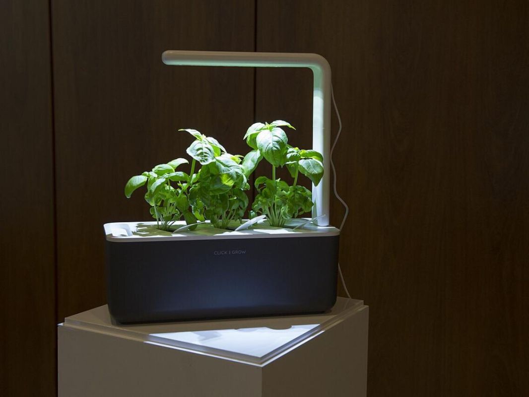 ��, ��� ����� ����� � ������ ������������ ���� ��� ��������: ���� � ����������