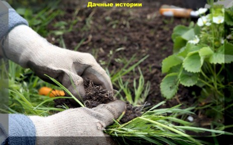 ������� ������ � �������� ���������: �� �������� �������� �� ����������� �������