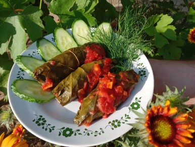 ������ ����� � �������� �����: ������� �������������