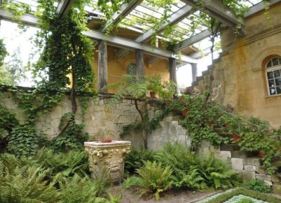 Как успешно справиться с заросшими растениями