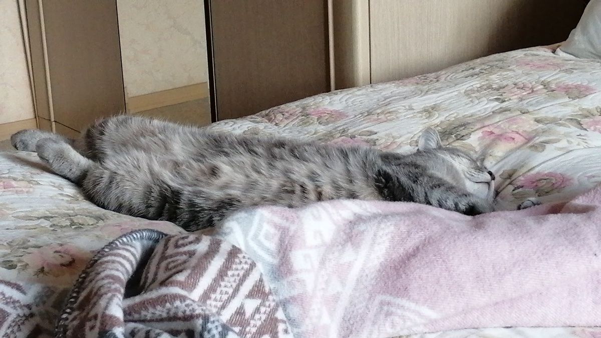 ���������: ��� ����� ��������� ������ ����� � ����� ��������� ��������� ����