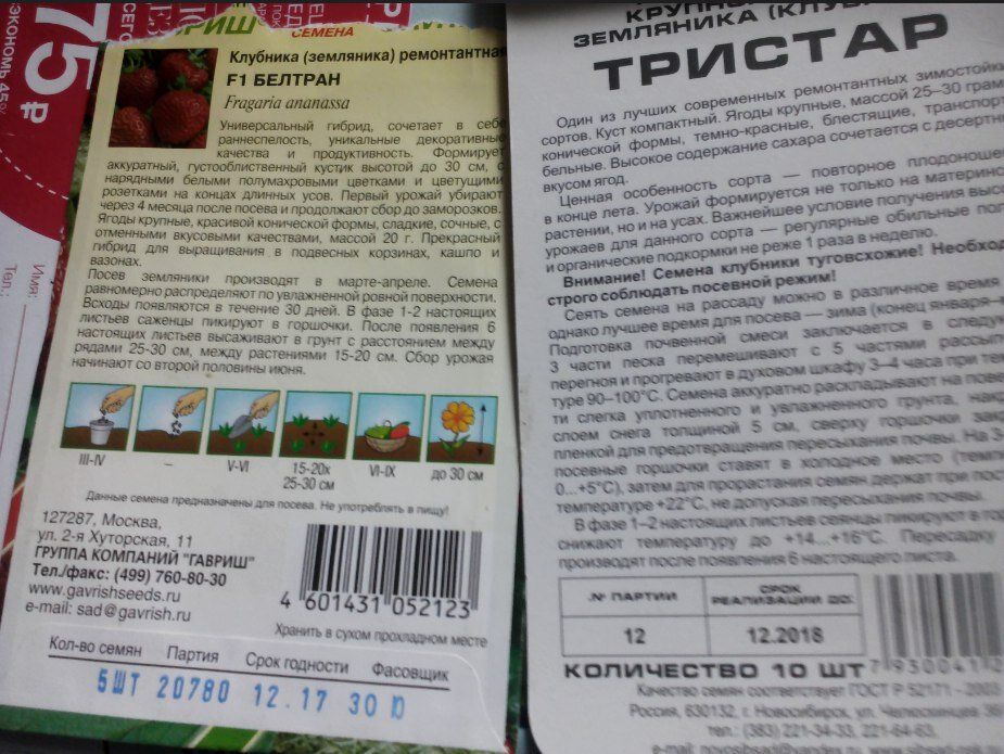 Как вырастить клубнику из семян: секреты успешного садоводства