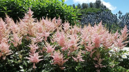 ��������: �������, ������� ������������ � �� ������� ������