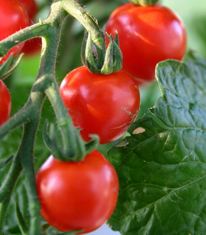 ��� ��������� ����� ������� �������� �� ��������� � ������ ������