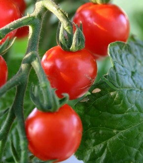 ��� ��������� ����� ������� �������� �� ��������� � ������ ������