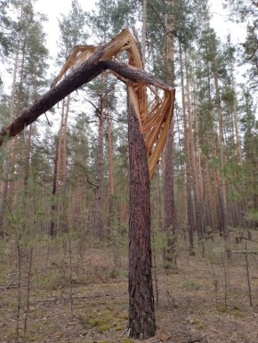 ������ ���� � ������ �������, ��� ����� ������