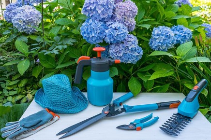 ����������� �������: ������� ������ ������������ ��� ����