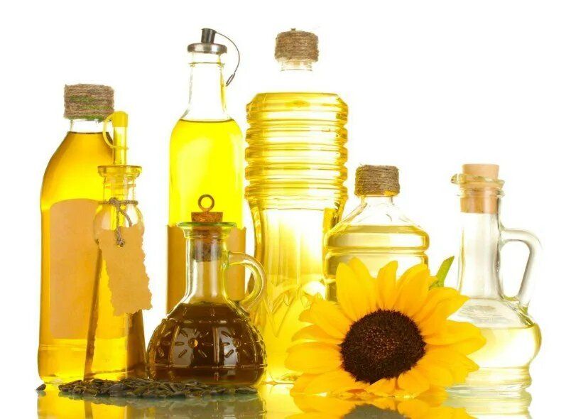 ���� ������������ �����: ��� �������� ���������, ����������� ��������