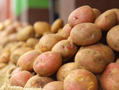 ������ ��������� ������� ����� �������: ��� ���� ���������� � 2026 ����