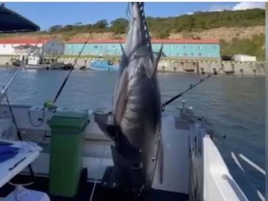 ���������� ����: ���������� ������� ������ ���������� ����� ����� 284 ��