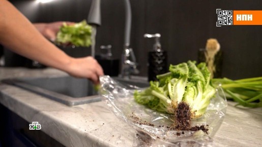 ��� ��������� ���� ����� � ������: �������� ������ �� ���������