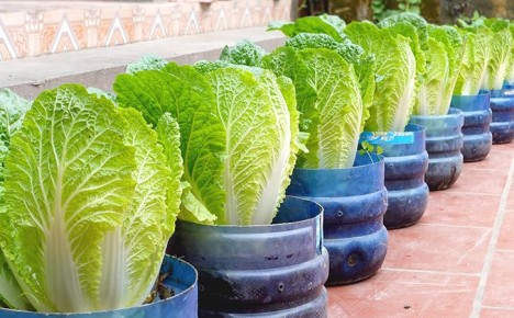 ��� ��������� ��������� ������� �� ����������� ������� ���