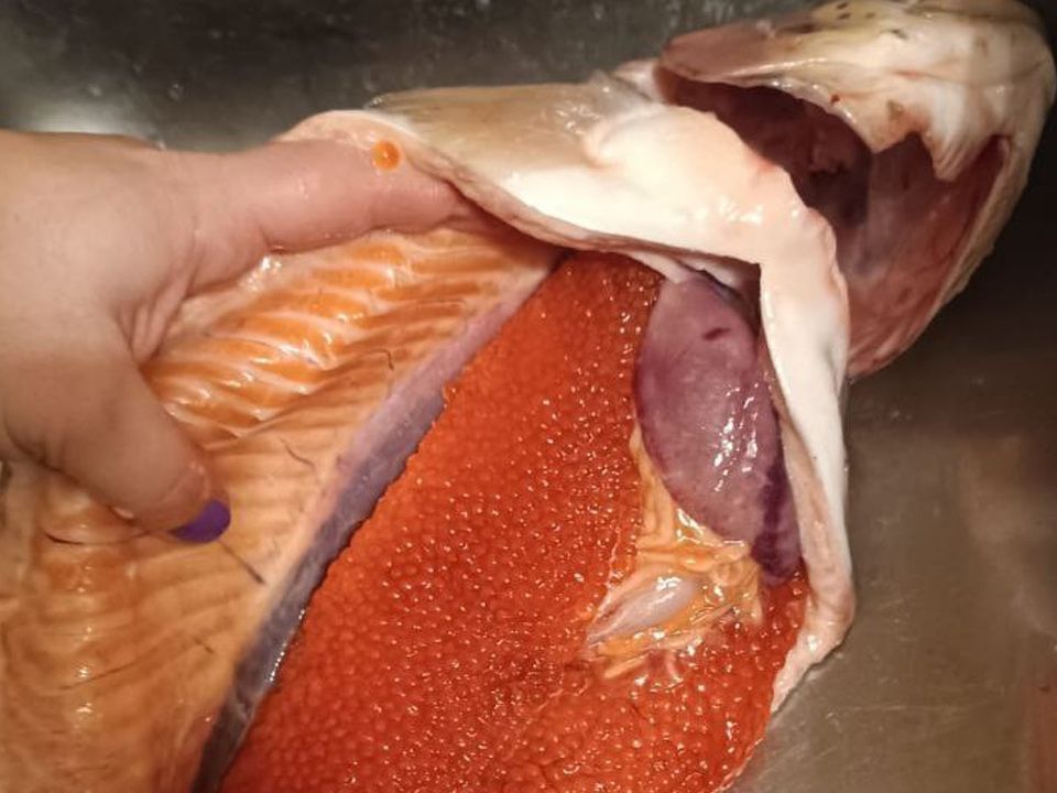 ��� ������� ������� � �����: ������� �������