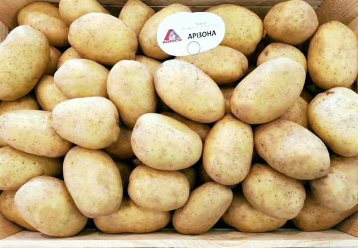 ��������� �������: ��������� ����� ��� ����������� ������