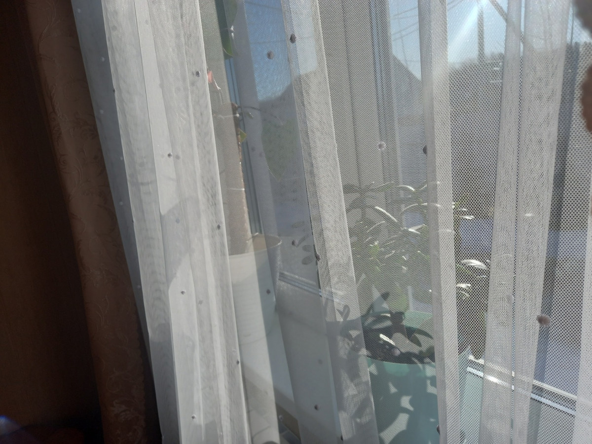 Необычные идеи для оформления окон: обновляем дом недорогим текстилем