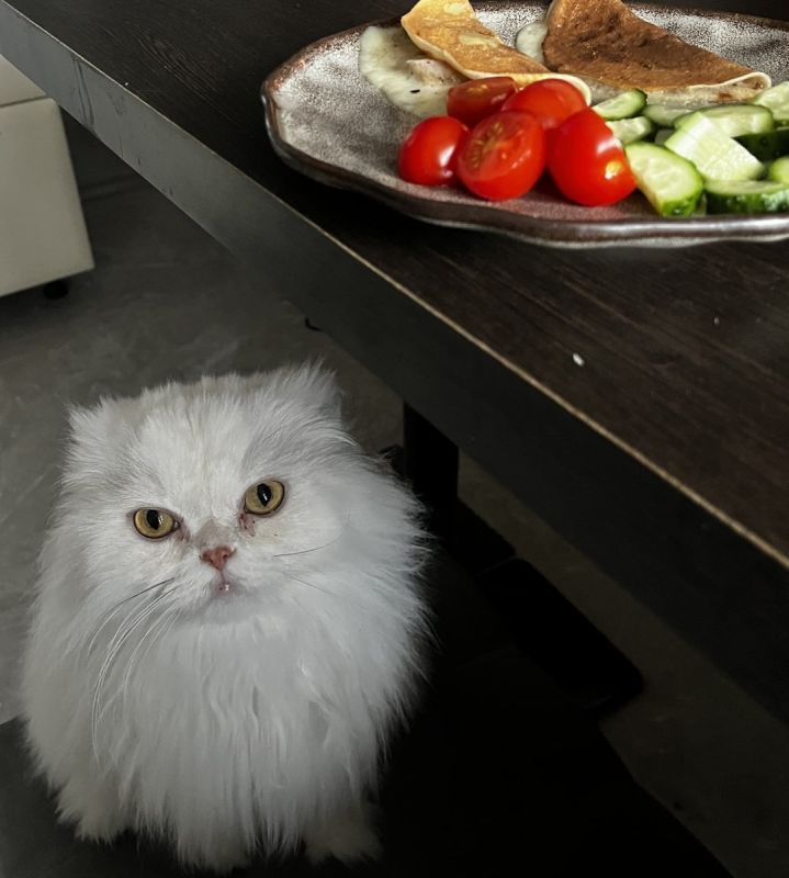 ����� ������� ������