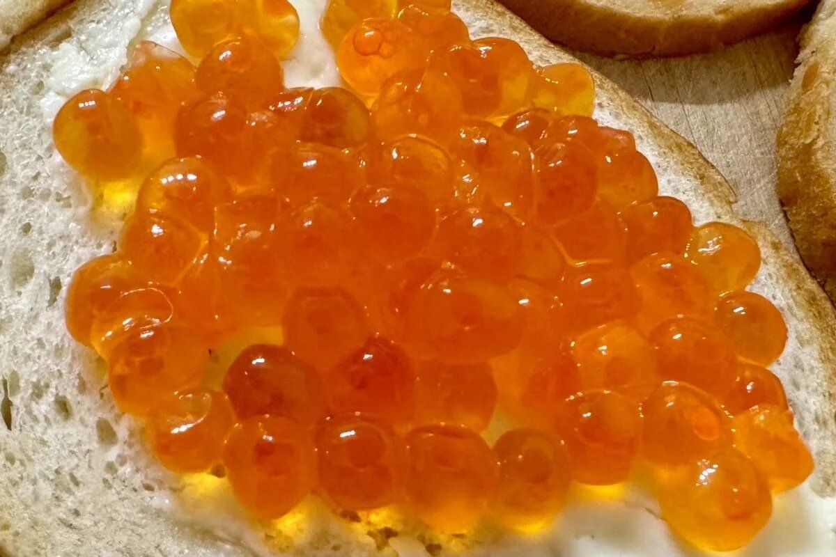 ��� �� ������ ���� ������� ����?