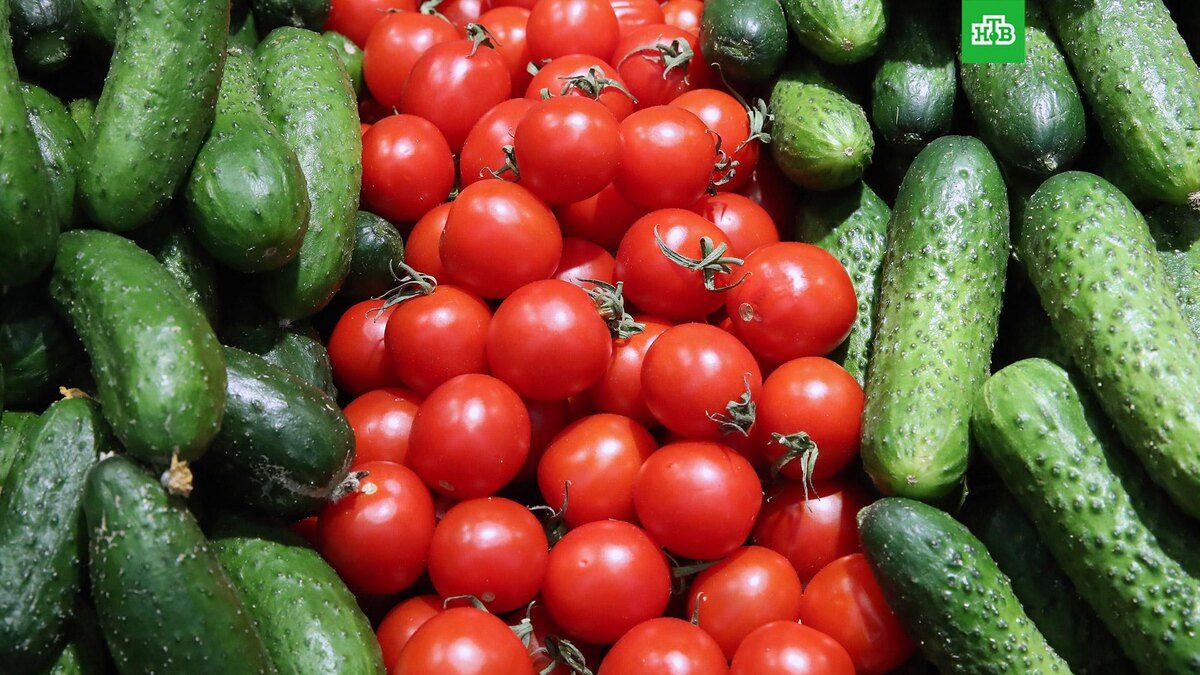 �������� ����������: ���� �� ������ � �������� ����� ������