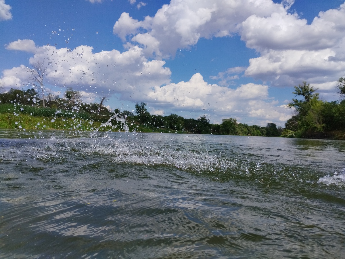 Дождевая вода: от экологии до недуга – что нужно знать