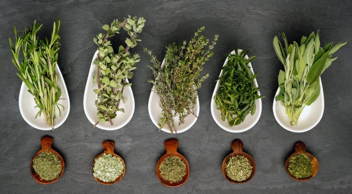 ������ � �������, ������� ����� ��������� ��� ���������� ������