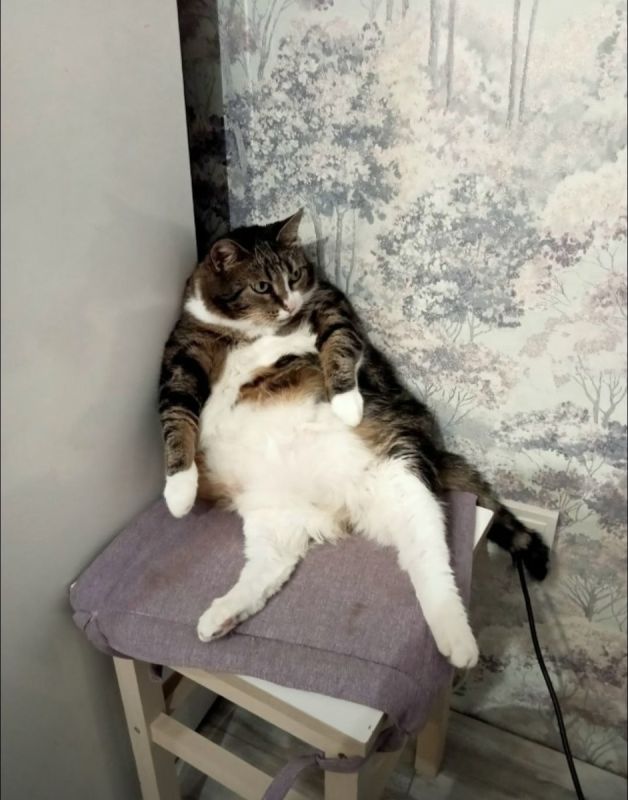 ���� �� ����: ������� ����������� ��� ����