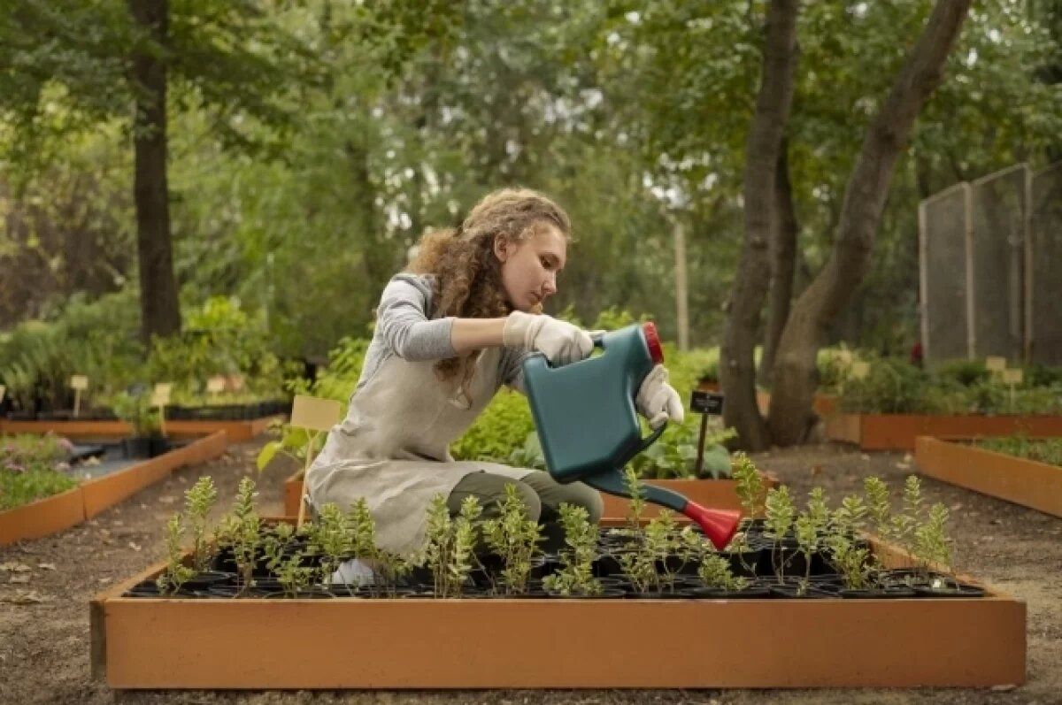 ����� ������� ����� �������� � ������ � ������: ������ ���������