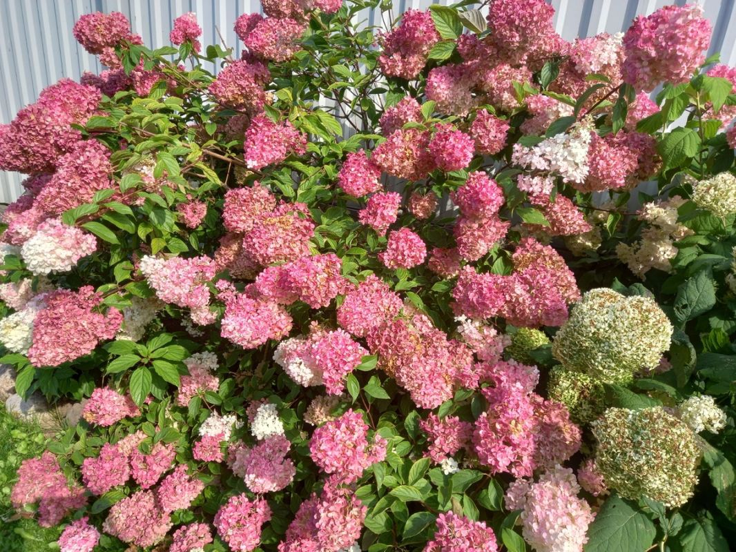 �������� ����������, ������� ��������� ��� �� ��������������� �������