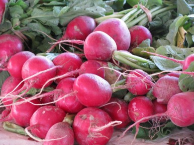 Овощи с характером: редька, редис и дайкон в кулинарии