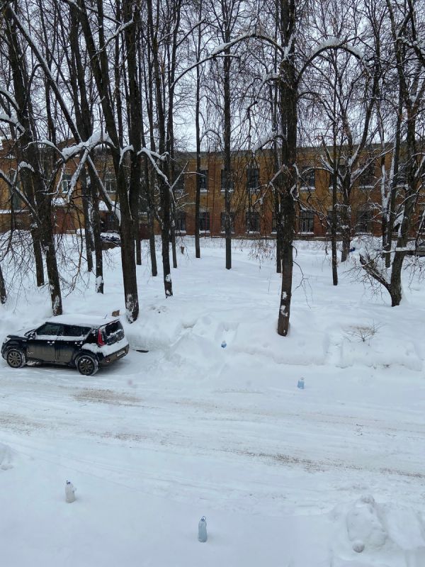 ��� ������� ���� ������ ������������ �����: �� ���� � ���