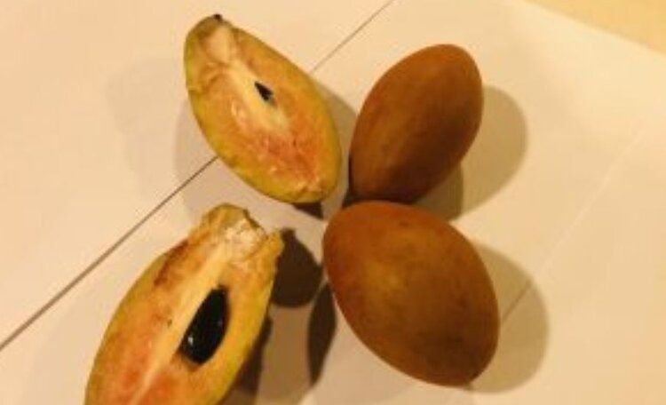 ���������� ����� ���� ���������� ����������� �������� � ������