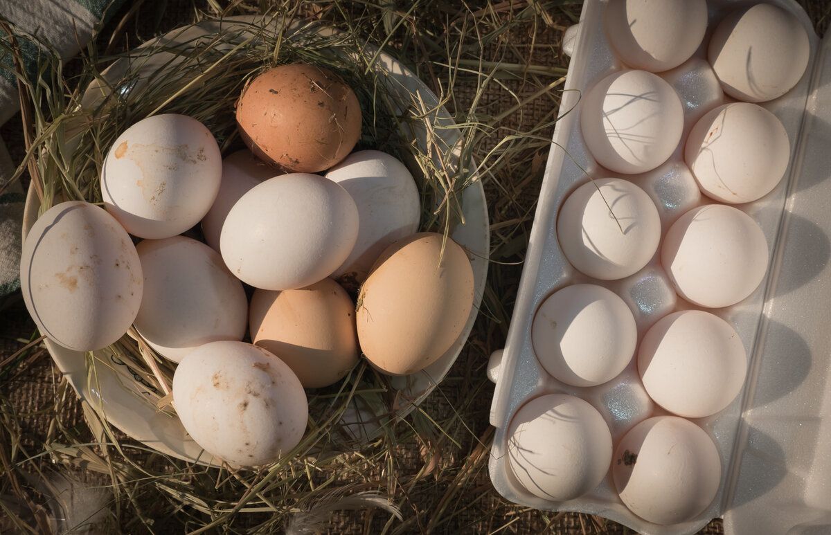 ���� � �������: ����� ��� ����� � ��� �� ����� ��������?