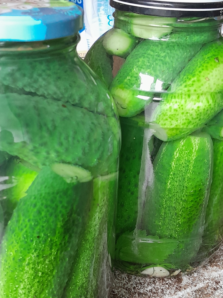 Хрустящие маринованные огурцы на зиму: идеальная закуска