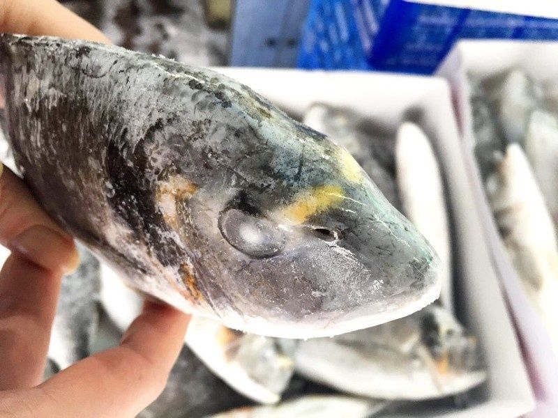 ������� ������: ��� ����������� ���� ��������� �� ����� �����