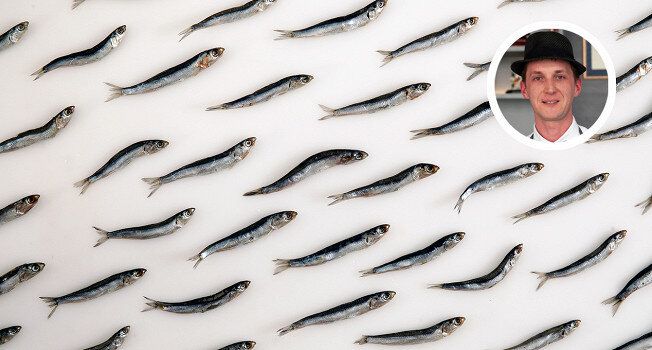 �����: ������������ ��������� �� ����� �������