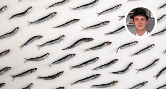 Хамса: Черноморский деликатес на вашей тарелке