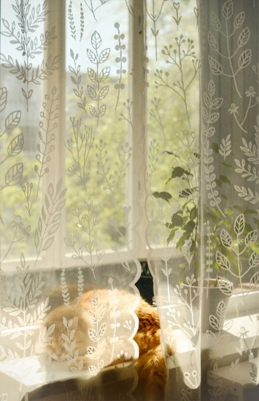 ��� ������� ������ ��� � Wildberries: �������� ������ � ������� �������