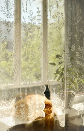 ��� ������� ������ ��� � Wildberries: �������� ������ � ������� �������