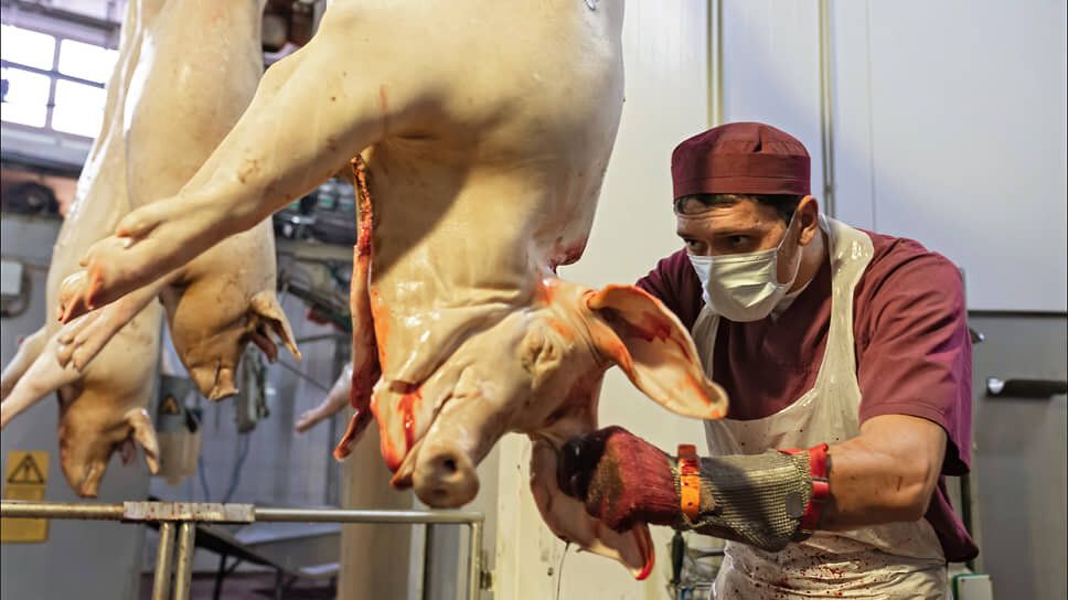 ���� �� ������� ���������� ������: ����� ��� ��� �������