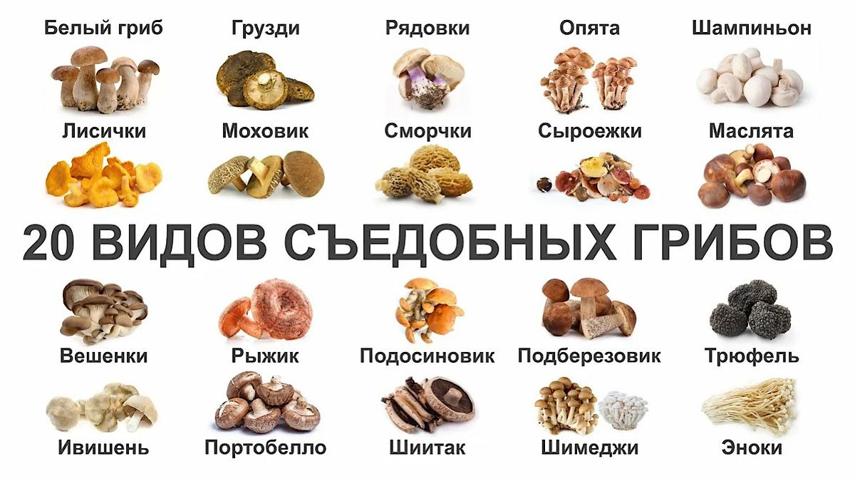 ����� �����: ��� ����� ���� � ��� �� ���������