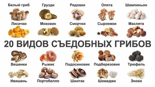 ����� �����: ��� ����� ���� � ��� �� ���������